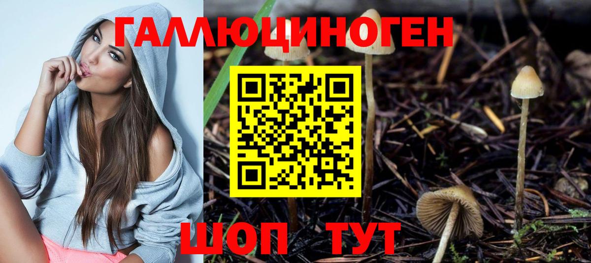где купить наркоту  Псилоцибиновые грибы мухоморы  Вход с VPN  Галлюциногенные грибы прущие грибы  Тихорецк 